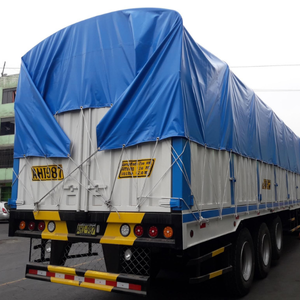 tolde para camion de gebe2